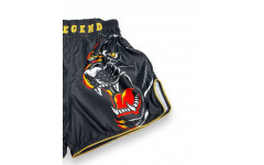Шорты для бокса Blegend Magic Tiger M