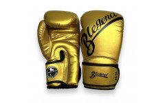 Боксерские перчатки BLEGEND 16 oz